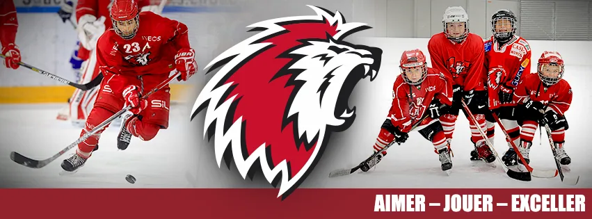 Cover Facebook du mouvement junior du Lausanne HC : logo du lion entre un joueur en action et cinq jeunes joueurs, slogan Aimer, jouer, exceller